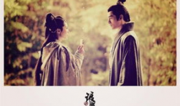 琅琊琅琊榜电视剧,权谋风云，英雄逆袭的传奇之路