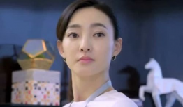 王丽坤演的优雅是什么电视剧,王丽坤演绎的都市女性成长传奇