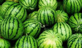 嘉善县吃瓜爆料,揭秘当地热点事件背后的真相